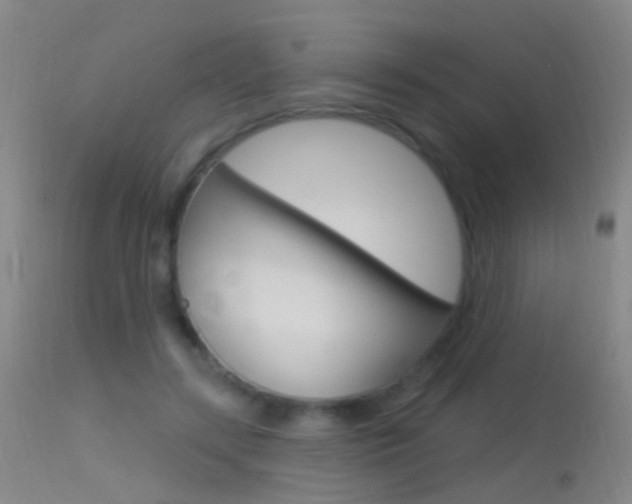 X0000113530547200909181002