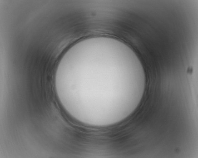 X0000113530548200909181002