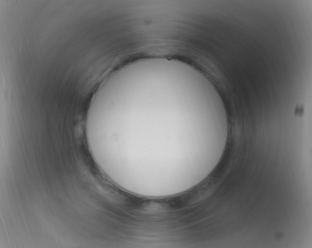 X0000113530549200909181002