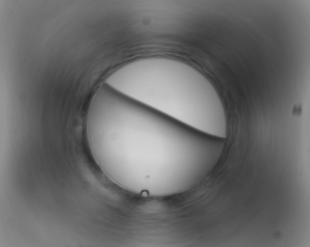 X0000113530551200909181002