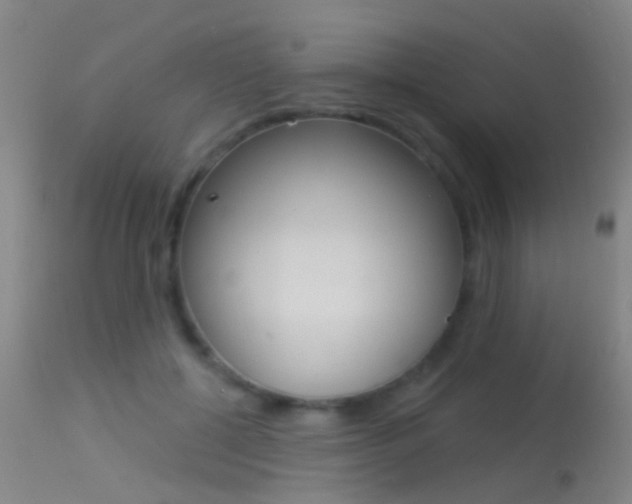 X0000113530552200909181002