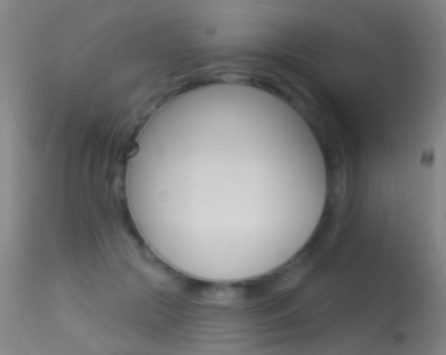 X0000113530553200909181002