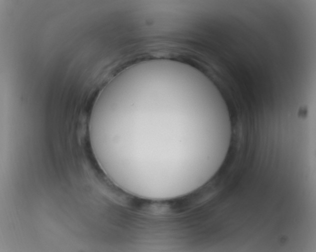 X0000113530554200909181003