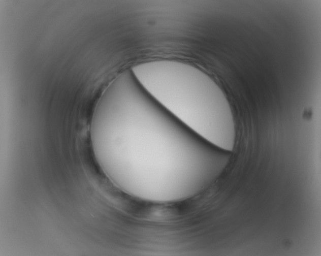 X0000113530555200909181003