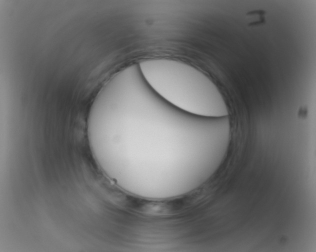 X0000113530557200909181003