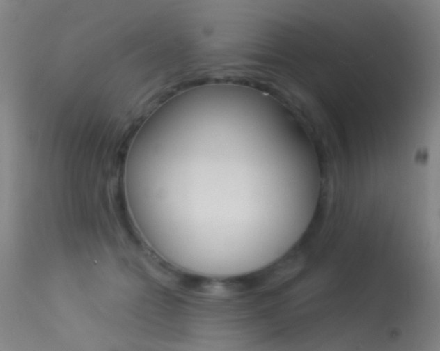 X0000113530558200909181003