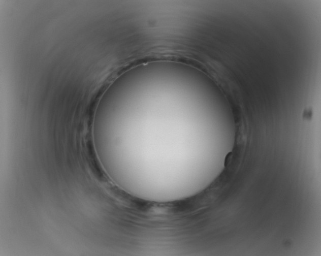 X0000113530560200909181003