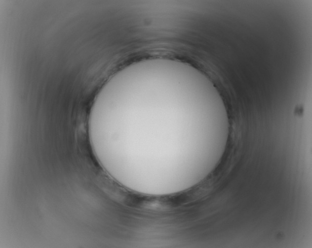 X0000113530561200909181003