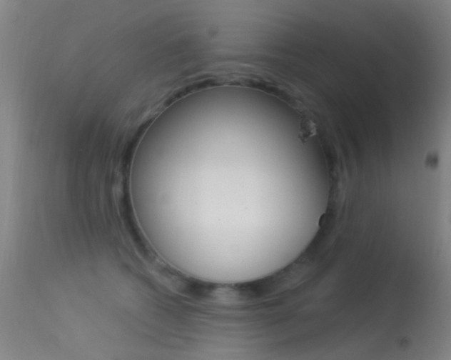 X0000113530562200909181003