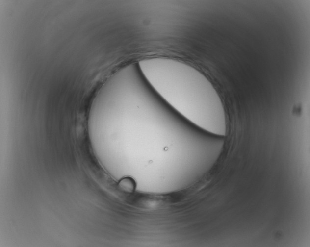 X0000113530563200909181003