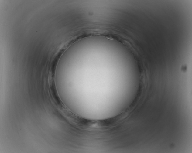 X0000113530564200909181003