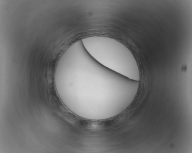 X0000113530565200909181003