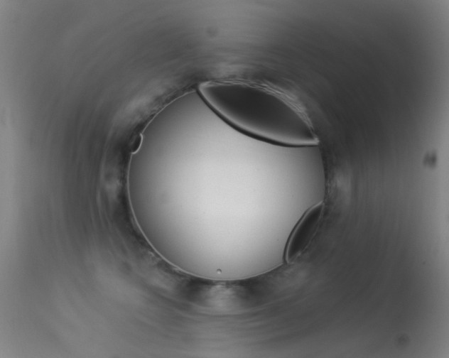 X0000113530566200909181003