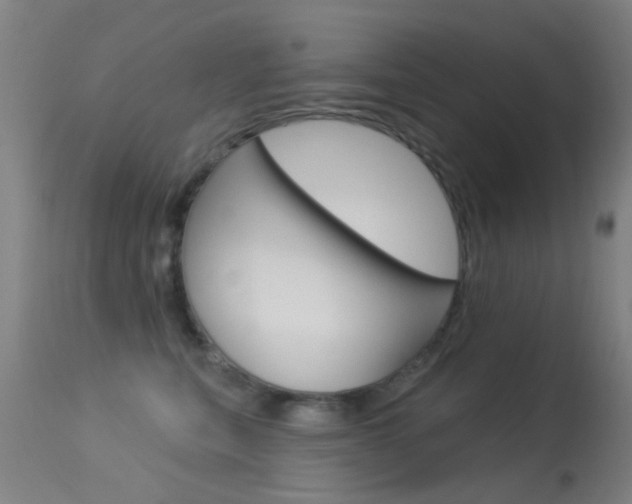X0000113530567200909181003