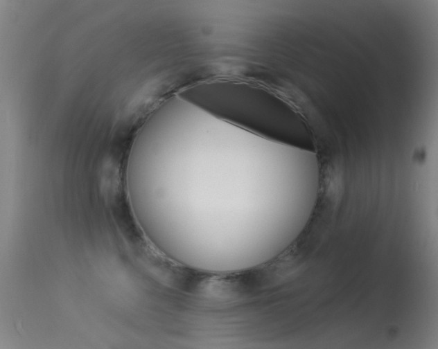 X0000113530568200909181003