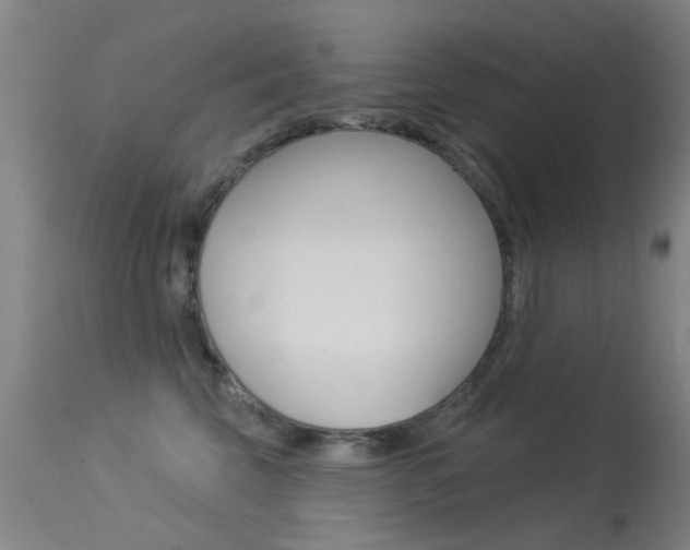 X0000113530569200909181003