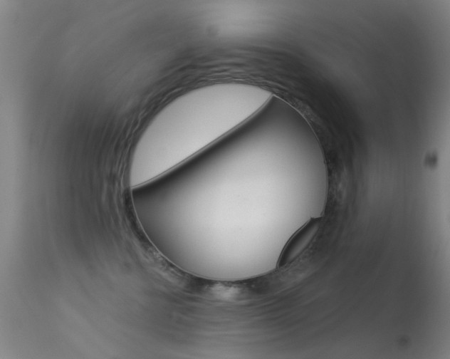 X0000113530570200909181003