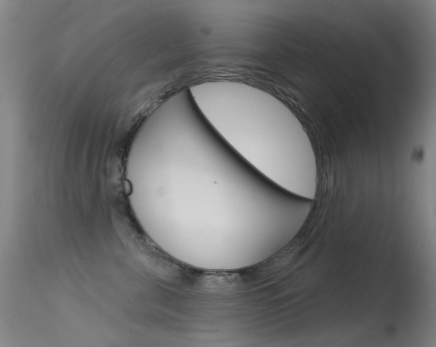X0000113530571200909181003