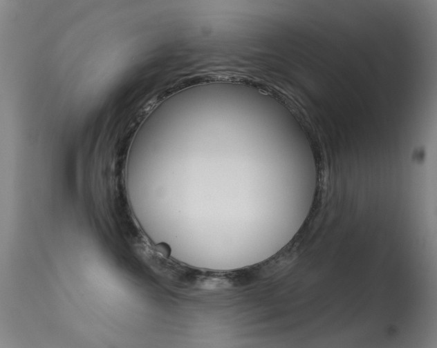 X0000113530572200909181003