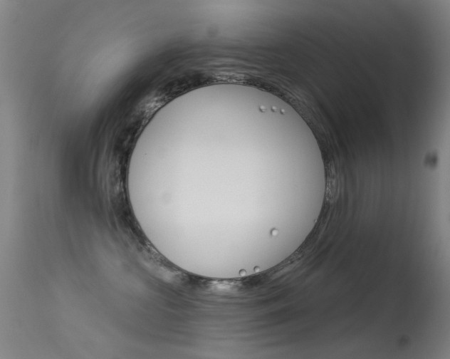 X0000113530573200909181003