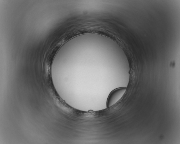 X0000113530574200909181003
