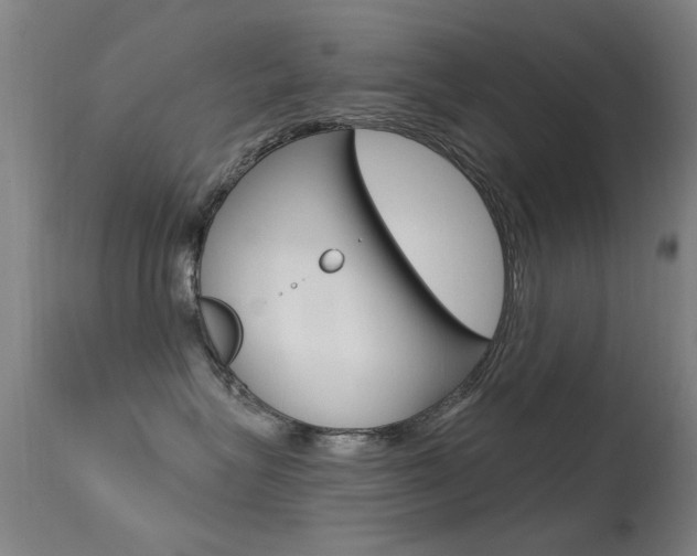 X0000113530575200909181003
