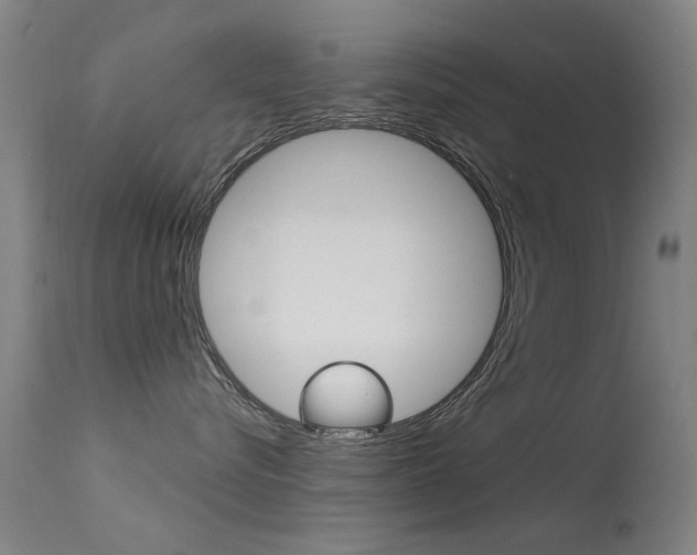 X0000113530576200909181003