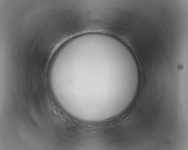 X0000113530579200909181002