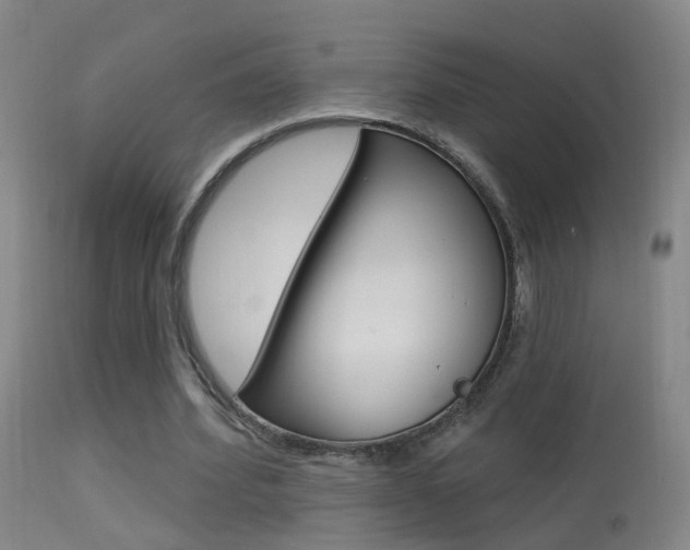 X0000113530580200909181002