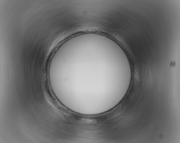 X0000113530582200909181002