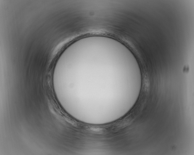 X0000113530583200909181002