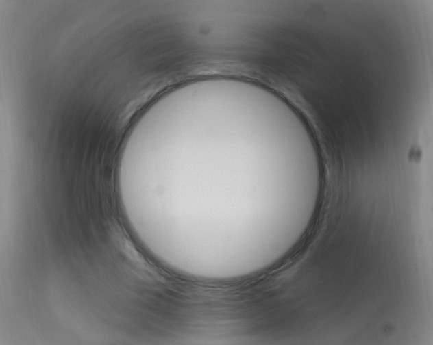 X0000113530585200909181002