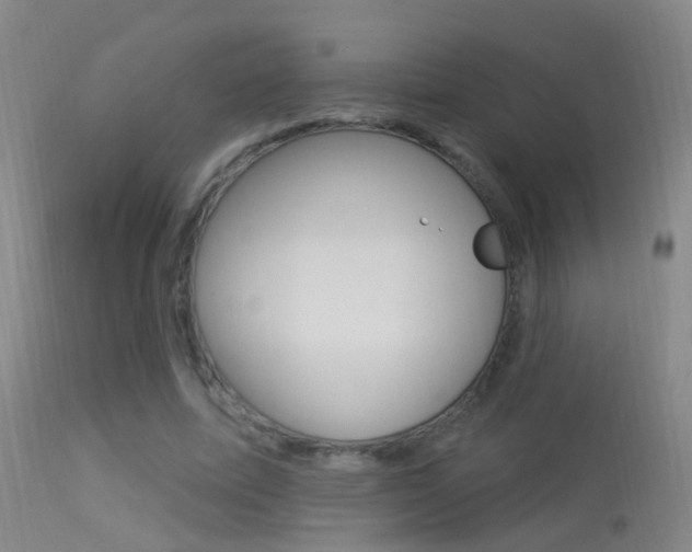 X0000113530587200909181002