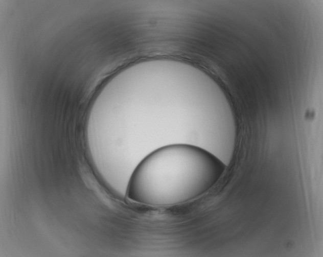 X0000113530589200909181002