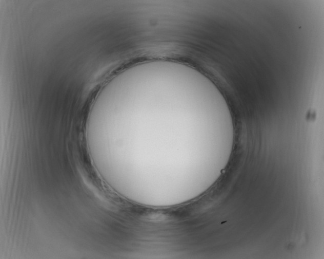 X0000113530590200909181002