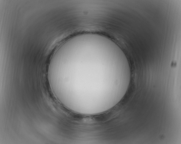 X0000113530591200909181002
