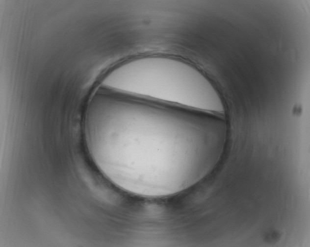 X0000113530592200909181002