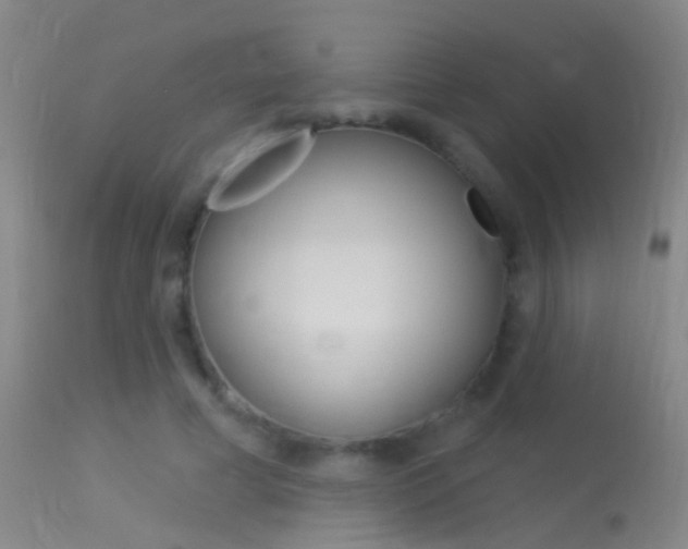 X0000113530593200909181002