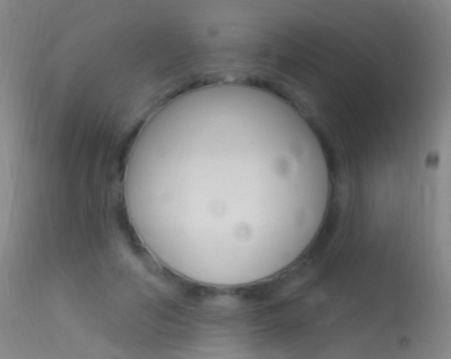 X0000113530594200909181002