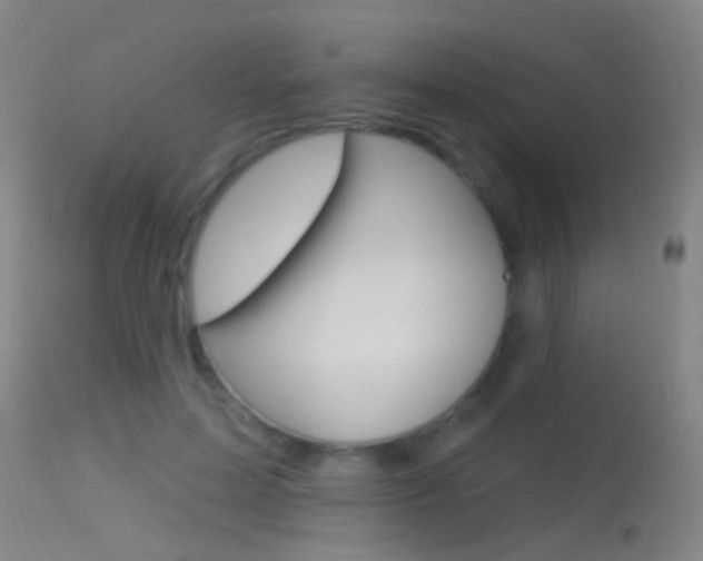 X0000113530599200909181002