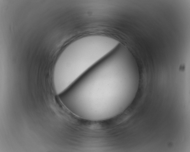 X0000113530600200909181002