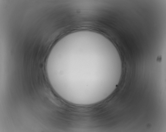 X0000113530601200909181002