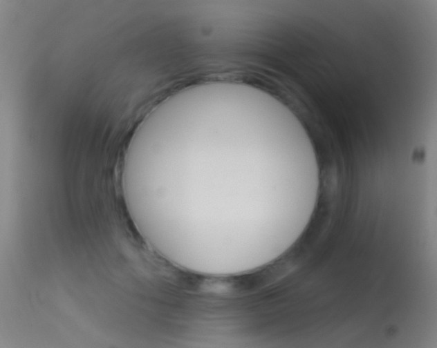 X0000113530602200909181002