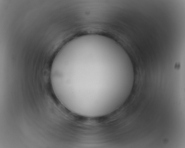 X0000113530604200909181002