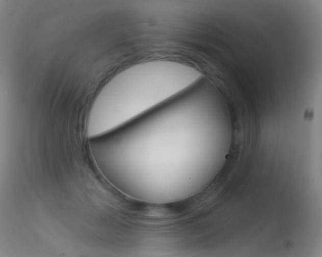 X0000113530605200909181002