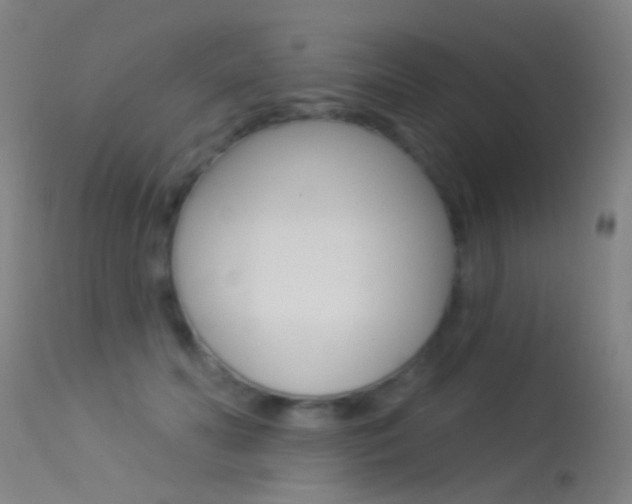 X0000113530606200909181002