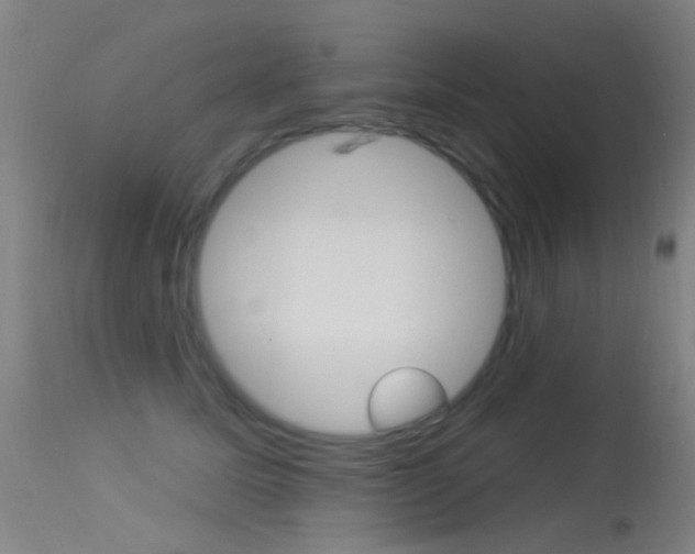 X0000113530611200909181002