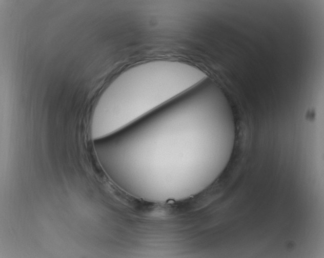 X0000113530612200909181001