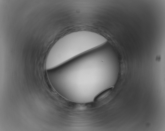X0000113530613200909181001