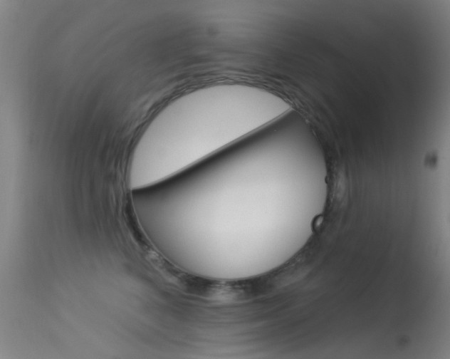 X0000113530616200909181001